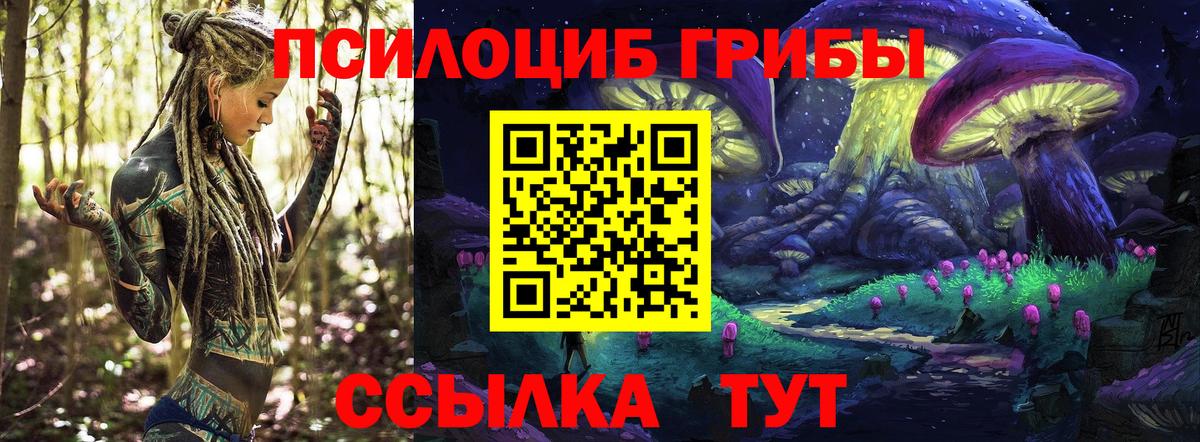 Псилоцибиновые грибы мицелий Заводоуковск